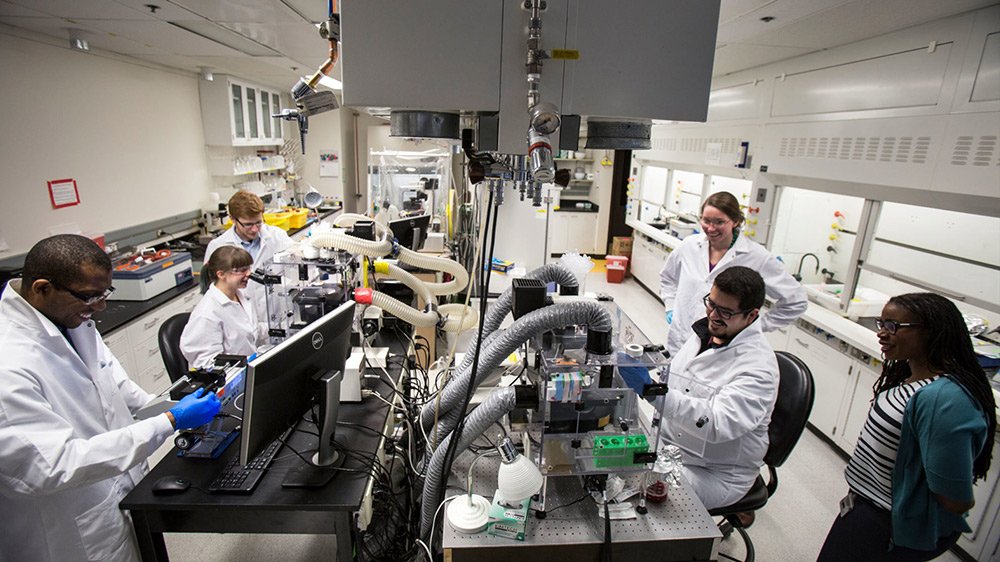 Working in a collaborative lab